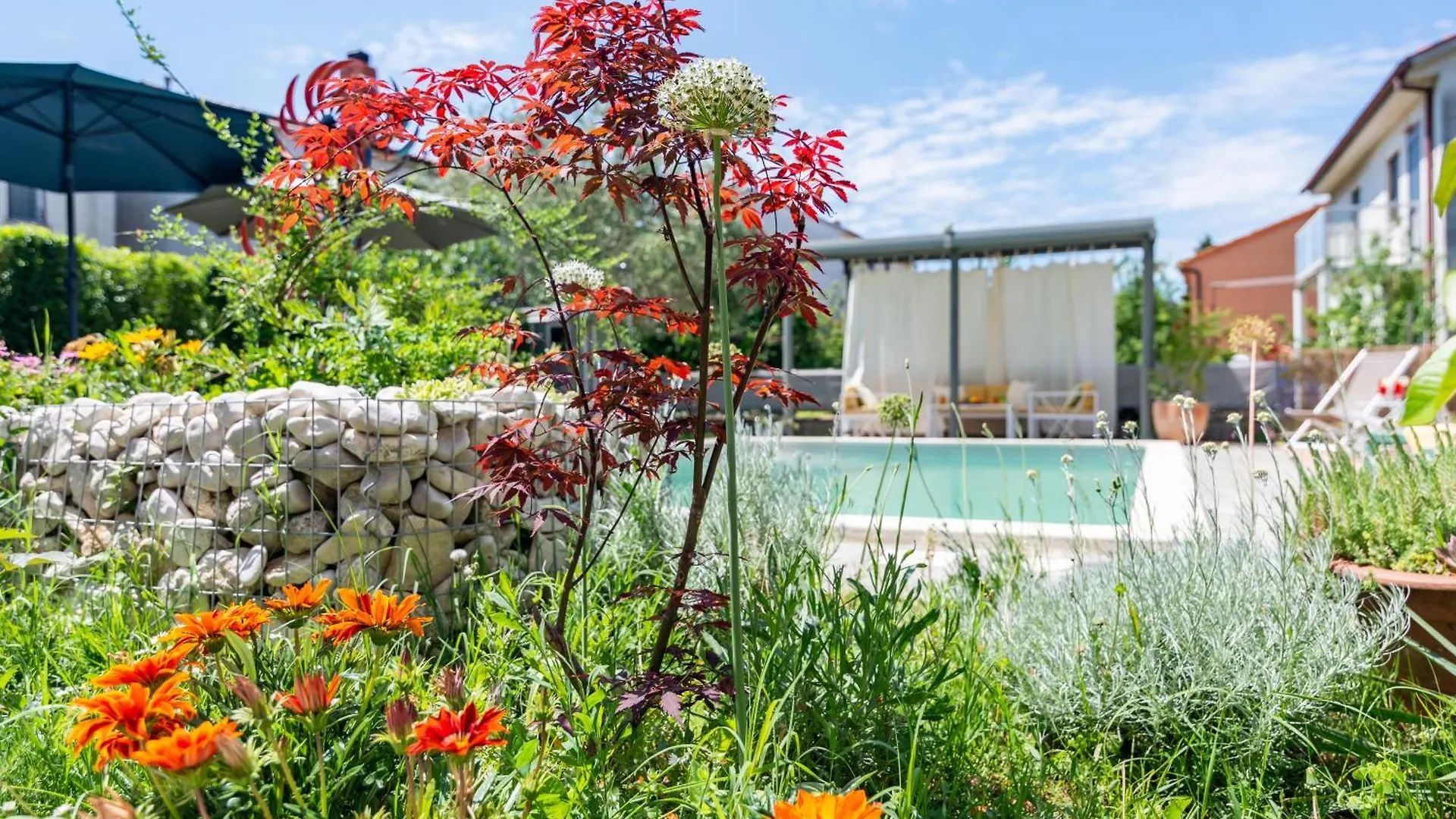 Appartement Superior House With Pool à Pula Croatie